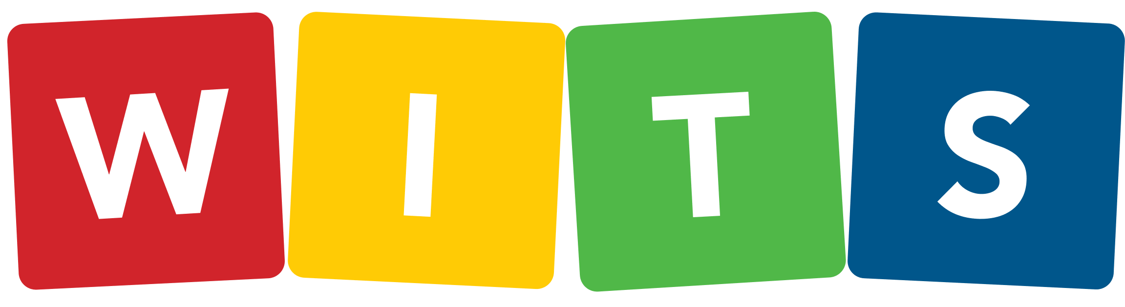 WITS Programs Foundation Logo